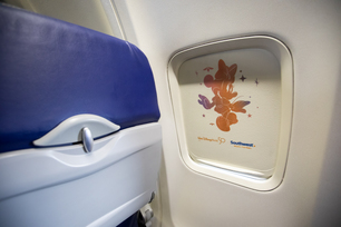 210924swa_disney-web012jpg