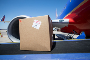 200415covid_dal-web016jpg